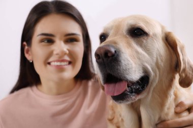 Evde şirin Labrador Retriever 'ı olan mutlu kadın, yakın plan.