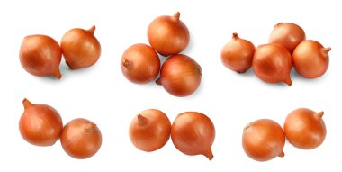 Birçok taze soğan soğanı beyaz, kolaj tasarımı