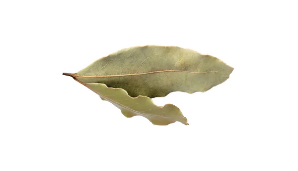 Beyaz Arkaplanda Iki Aromatik Defne Yaprağı — Stok fotoğraf