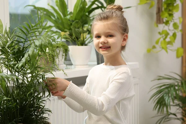 Petite Fille Mignonne Prenant Soin Belle Plante Verte Maison Décor — Photo