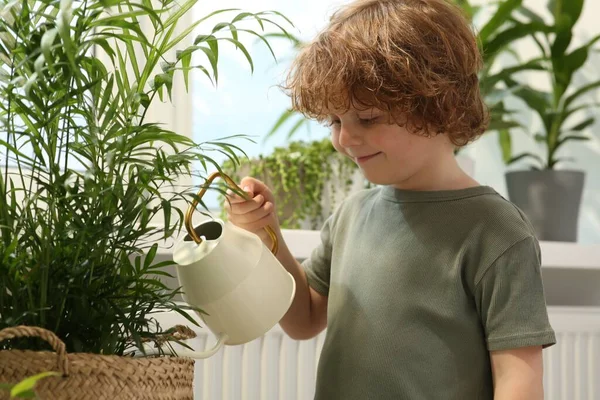 Cute Little Boy Podlewania Pięknej Zielonej Rośliny Domu Wystrój Domu — Zdjęcie stockowe