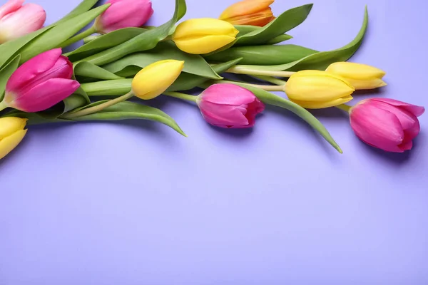 Красивые Тюльпаны Фиолетовом Фоне Плоский Лежал Пространство Текста — стоковое фото