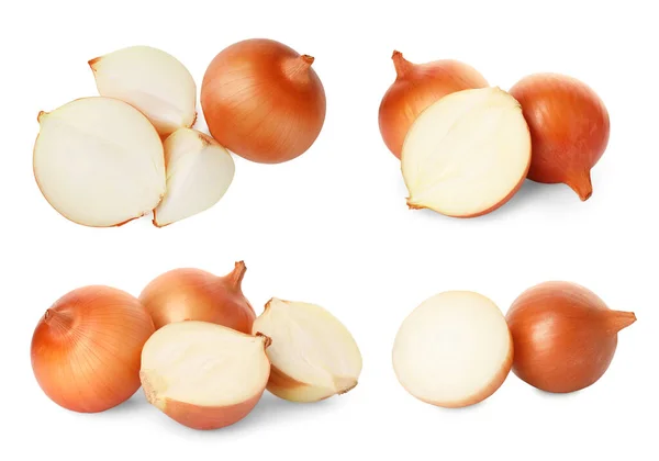 Viele Frische Zwiebelzwiebeln Isoliert Auf Weiß Collage Design — Stockfoto
