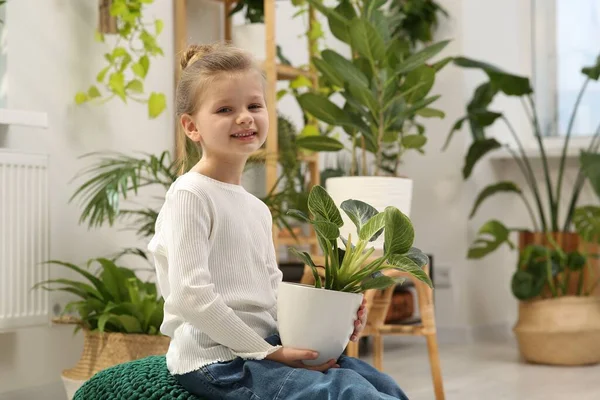 Söt Liten Flicka Som Håller Vacker Grön Växt Hemma Husinredning — Stockfoto