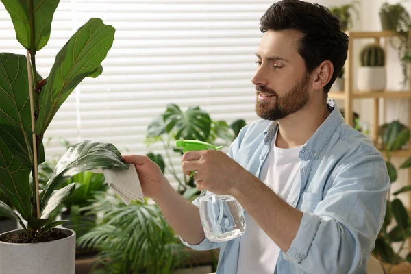 stock image Man spraying beautiful potted houseplants with water indoors