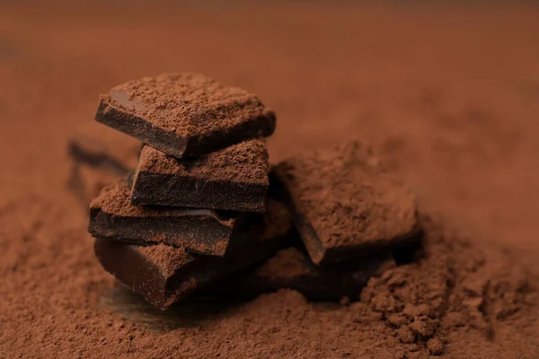 맛있는 초콜릿 코코아 — 스톡 사진