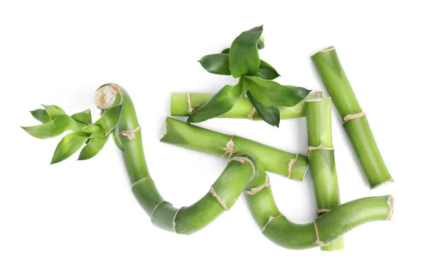 Pieces Beautiful Green Bamboo Stems White Background Top View — Stock Photo, Image