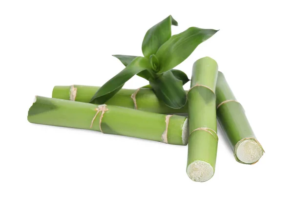 白色背景上的美丽的绿色竹子 — 图库照片
