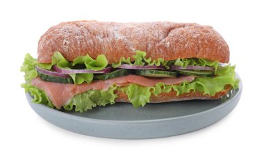 Taze sebzeli ve somonlu leziz sandviç.