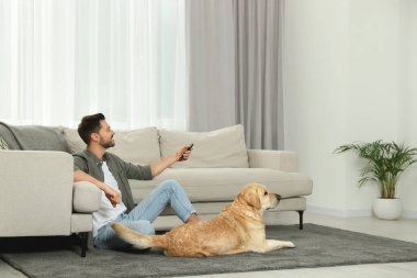 Evinde Labrador Köpeğinin yanında televizyonu açan bir adam.