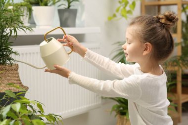 Şirin küçük kız evde güzel yeşil bitkileri suluyor. Ev dekorasyonu