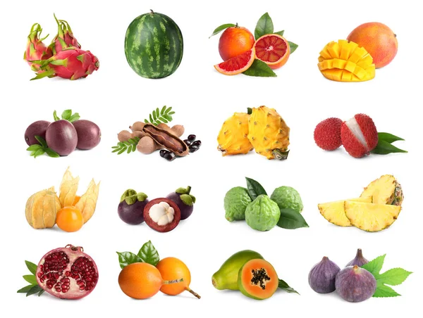 Collage Con Muchas Frutas Exóticas Frescas Sobre Fondo Blanco — Foto de Stock
