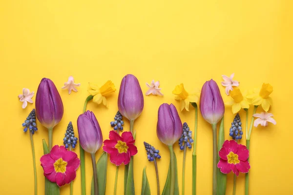 Όμορφα Διαφορετικά Λουλούδια Κίτρινο Φόντο Επίπεδη Θέσει Χώρος Για Κείμενο — Φωτογραφία Αρχείου