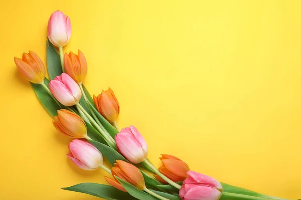 Prachtige Tulpen Gele Achtergrond Plat Gelegd Ruimte Voor Tekst — Stockfoto