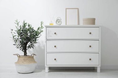 Olive tree in pot near white cabinet in room. Interior design