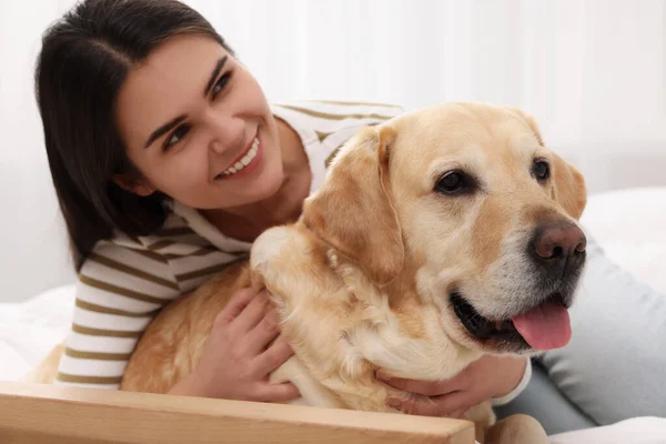 Gelukkig Vrouw Met Leuke Labrador Retriever Bed Thuis — Stockfoto