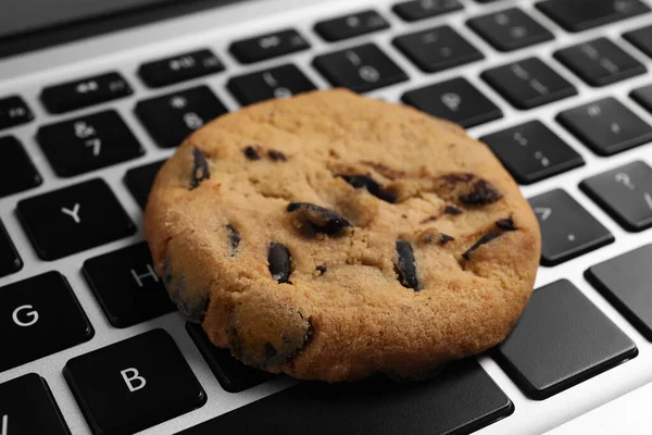 Chocolate chip cookie on laptop, closeup view