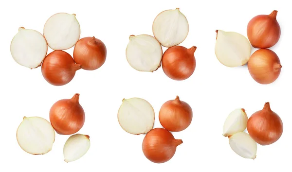 Many Fresh Onion Bulbs Isolated White Top View Collage Design — Stock Photo, Image