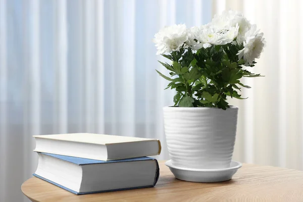 美しい菊の花鍋や木製のテーブルの上の本室内 — ストック写真