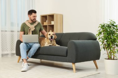 Evdeki şirin Labrador Retriever 'ının yanındaki koltukta dizüstü bilgisayar kullanan bir adam. Metin için boşluk