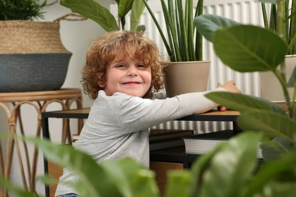 Söt Liten Pojke Nära Vackra Gröna Växter Hemma Husinredning — Stockfoto