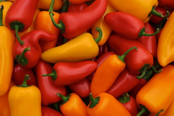 Žluté Červené Horké Chilli Papričky Jako Pozadí Horní Pohled — Stock fotografie