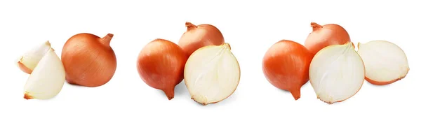 Many Fresh Onion Bulbs Isolated White — Stock Photo, Image
