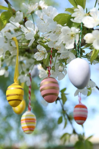 Schön Bemalte Ostereier Hängen Blühenden Bäumen Freien Nahaufnahme — Stockfoto