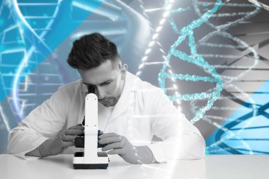 Genetik test. Masada mikroskop kullanan ve DNA yapısını gösteren laboratuvar çalışanlarının iki katına çıkarılması