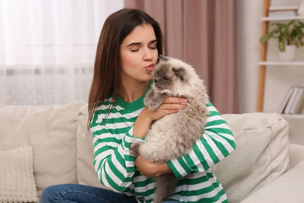Mujer Besando Lindo Gato Cómodo Sofá Casa — Foto de Stock