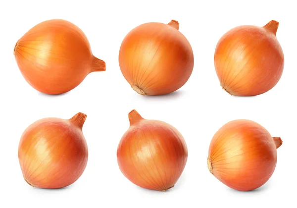 Ganze Frische Zwiebeln Isoliert Auf Weiß Collage Design — Stockfoto