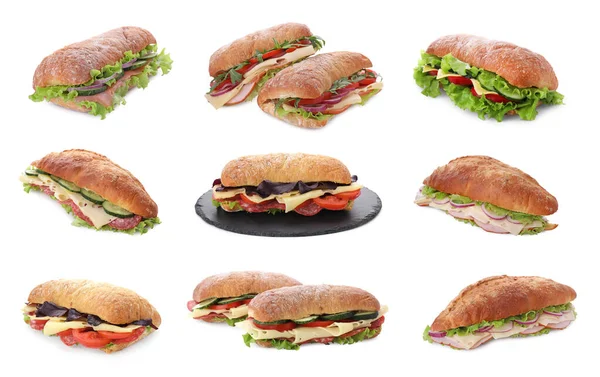 Collage Avec Différents Délicieux Sandwichs Sur Fond Blanc — Photo