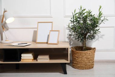 Beautiful young potted olive tree near table in living room. Interior element clipart