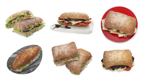 Conjunto Com Diferentes Deliciosos Sanduíches Fundo Branco — Fotografia de Stock