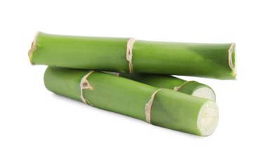 Güzel yeşil bambu parçaları beyaz arkaplanda.