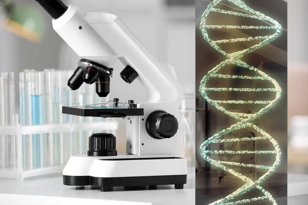Genetikai Vizsgálat Dns Szerkezet Mikroszkópja Illusztrációja Laboratóriumban — Stock Fotó