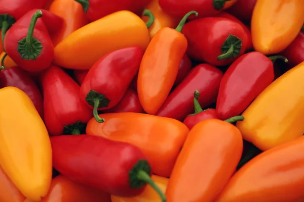 Žluté Červené Horké Chilli Papričky Jako Pozadí Detailní Záběr — Stock fotografie