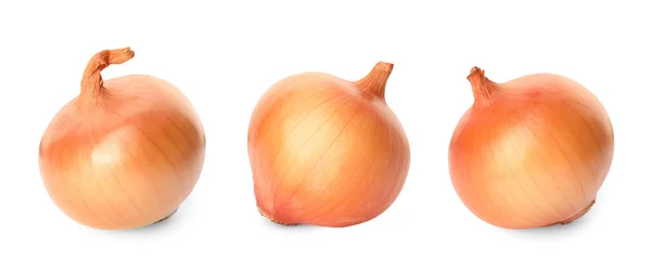 Drei Ganze Frische Zwiebelzwiebeln Isoliert Auf Weiß — Stockfoto