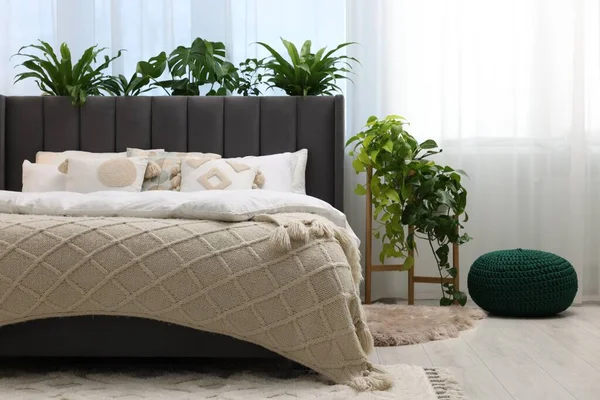 快適なベッド ポーランドと寝室の美しい観葉植物 インテリアデザイン — ストック写真