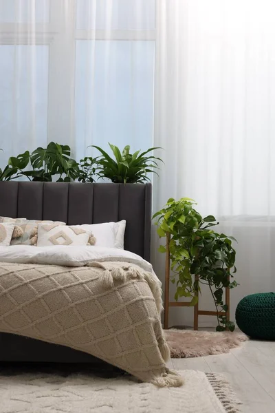 Bequemes Bett Und Schöne Zimmerpflanzen Schlafzimmer Innenarchitektur — Stockfoto