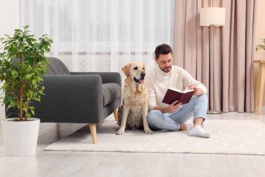 Adam yerde kitap okuyor. Evindeki şirin Labrador Retriever 'ının yanında.