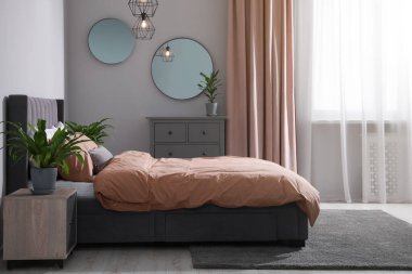 Şık bir yatak odası, rahat bir yatak odası ve yeşil bitkiler.