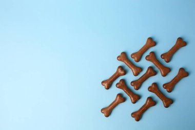 Bone shaped dog cookies on light blue background, flat lay. Space for text
