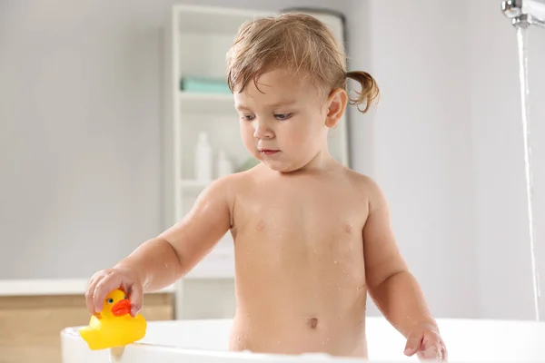 可爱的小女孩在家里的浴缸里玩橡皮鸭 — 图库照片
