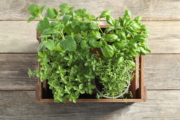 Láda Különböző Cserepes Fűszernövényekkel Asztalon Felülnézetből — Stock Fotó