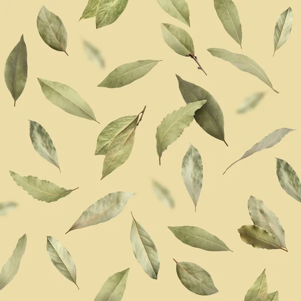 薄緑色の背景に落ちるドライベイの葉 — ストック写真