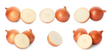 Beyaz kesim ve taze soğan, kolaj tasarımı.