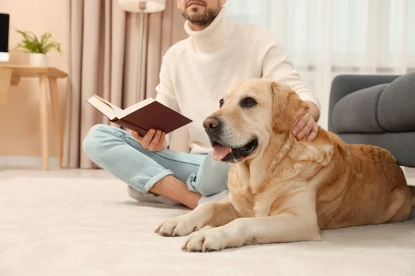 Evindeki Şirin Labrador Retriever Inın Yanında Yerde Kitap Okuyan Adam — Stok fotoğraf