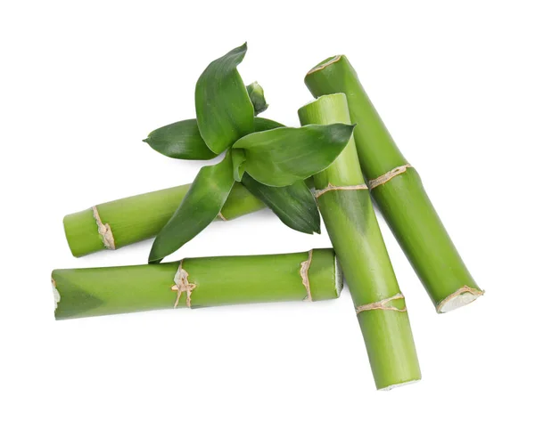 Pedaços Belas Hastes Bambu Verde Fundo Branco Vista Superior — Fotografia de Stock