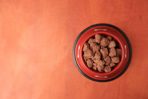 Mouiller Nourriture Pour Animaux Dans Bol Alimentation Sur Fond Orange — Photo